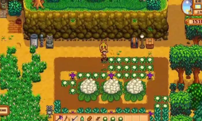 星露谷物语压酪机有什么作用2