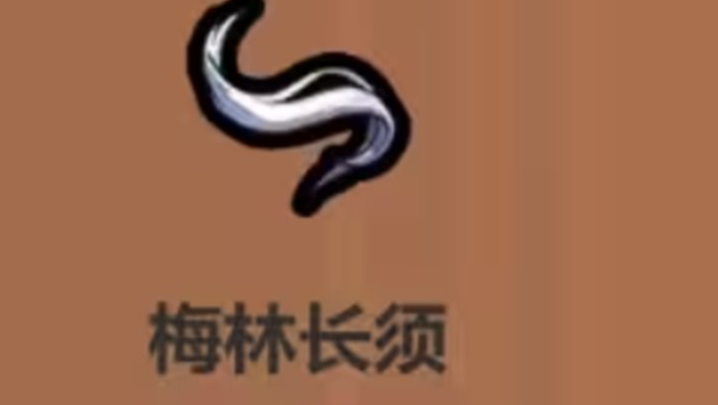 魔法工艺召唤流最强套装搭配指南4