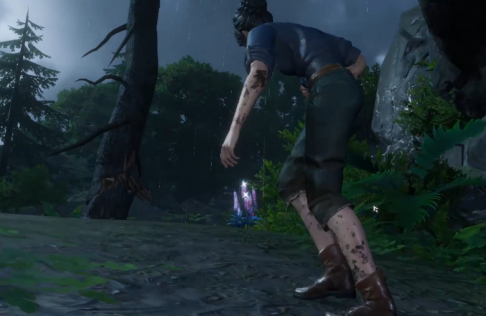 荒原曙光是生存游戏吗1