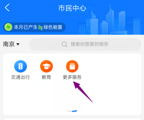 电子（S-F-Z）怎么申请3