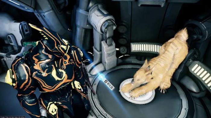 星际战甲怎么跟库狛互动_星际战甲库狛怎么跟随