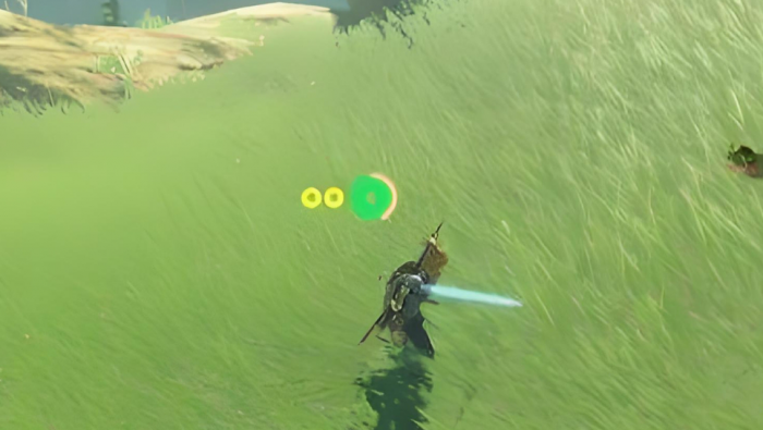 旷野之息怎么制作精力药水2