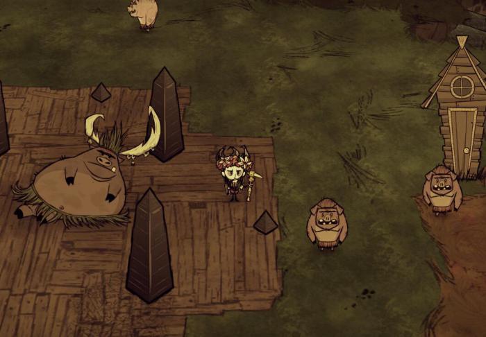 饥荒联机版如何根据显著特征判断地形1