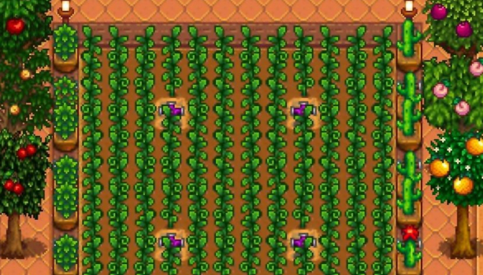 星露谷物语玛瑞亚的农场在哪2