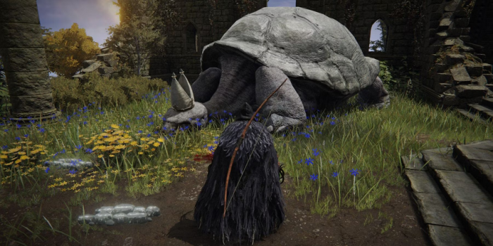 艾尔登法环乌龟老师在哪1