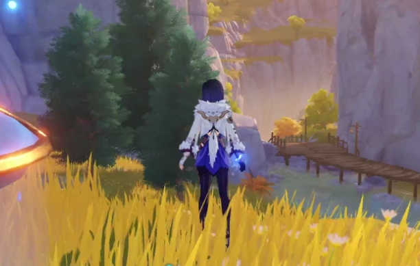 原神青蛙哪里多2