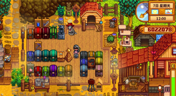 星露谷物语物品怎么整理分区2