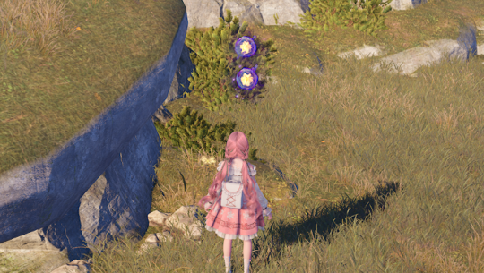 无限暖暖石之冠收集点16