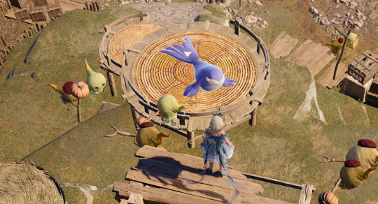 无限暖暖石之冠收集点21