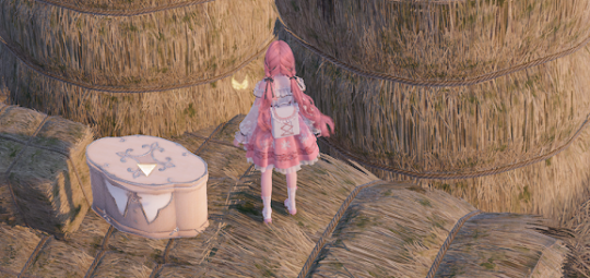 无限暖暖石之冠收集点104