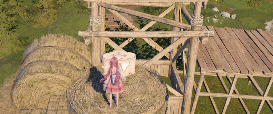 无限暖暖石之冠收集点117