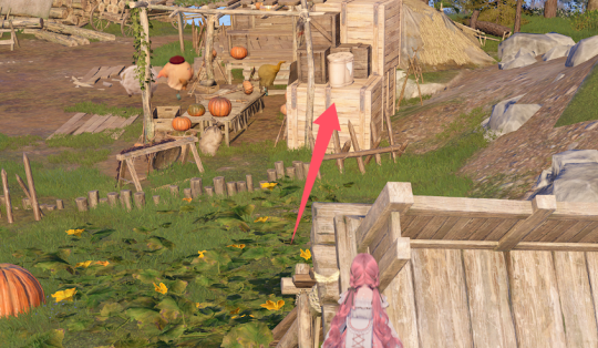 无限暖暖石之冠收集点134