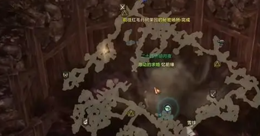 命运方舟红毛丹的秘密在哪2