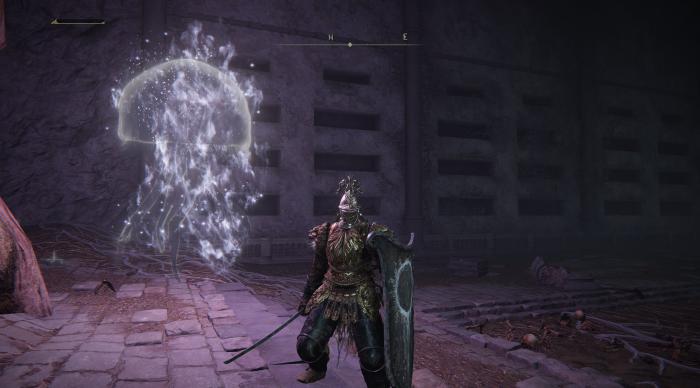 艾尔登法环最强流派是什么1