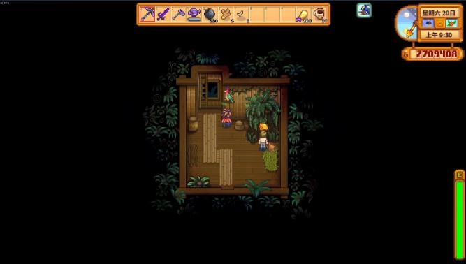 星露谷物语金核桃有什么3