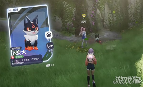 伊莫前期宠物怎么选3