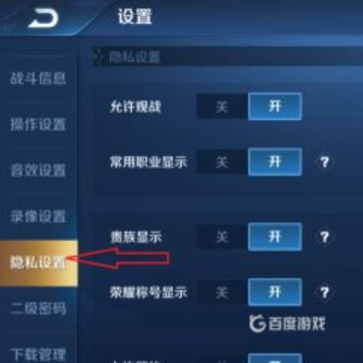 王者发战绩怎么显示标签?3