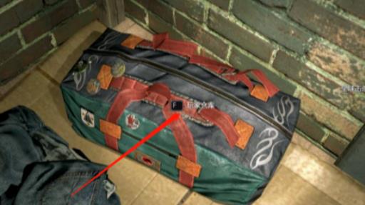 消逝的光芒子弹不能放仓库嘛?1