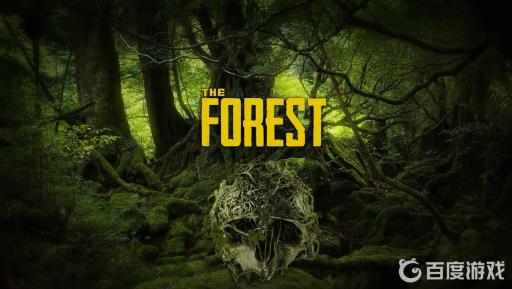 森林滑翔翼怎么做?_森林滑翔翼图纸视频