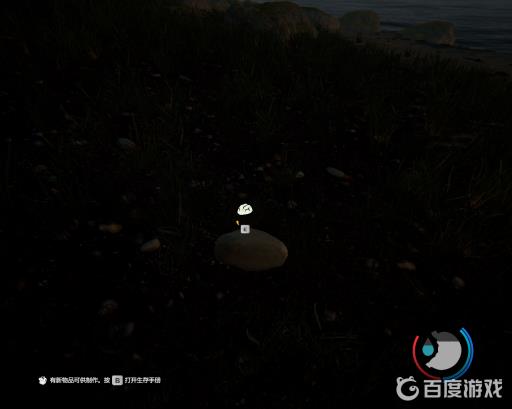 森林怎么丢背包里面的石头?4