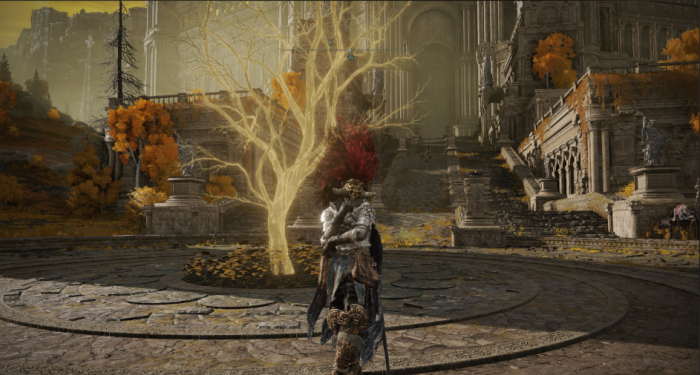 艾尔登法环烧树有什么影响2