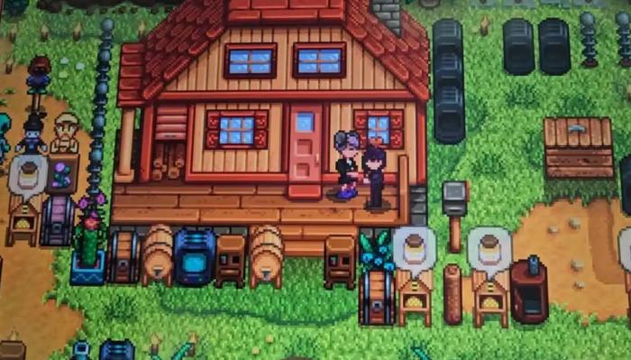 星露谷物语赛巴斯安在哪里3