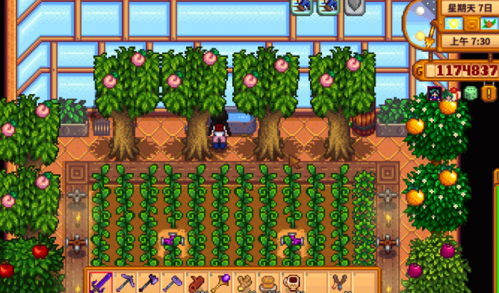 我想去参加星露谷物语沙龙但不知道具体位置3